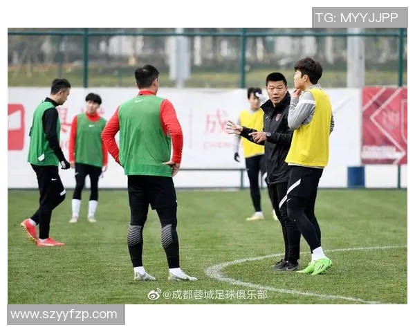 成都羽毛球队个人能力引发热议球员表现与团队协作的深度探讨