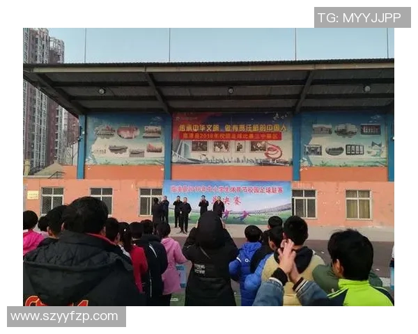 赵强独家揭秘足球技巧与战术分享助你提升球技的实用心得