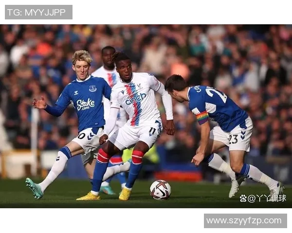 埃弗顿主场迎战西布罗姆维争夺英超宝贵积分的激烈对决