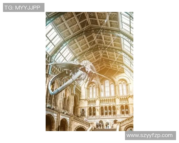 布莱克尼的魅力探索：揭开这座城市的历史与文化之谜