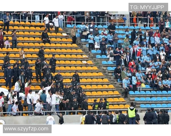 智诚与权健对决数据分析揭示比赛关键因素与战术布局