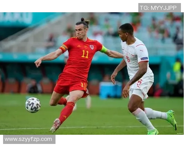 芬兰与爱沙尼亚足球赛前瞻及胜负预测分析