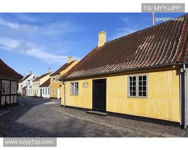 萨林杰的文学世界与青春迷惘的深刻探讨与反思