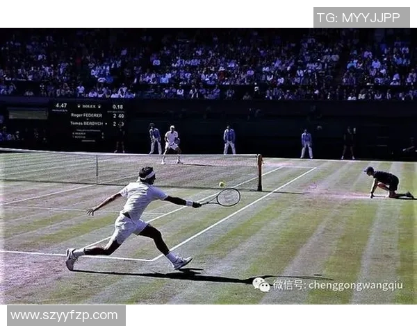 西里奇与费德勒的巅峰对决回顾与精彩瞬间分析